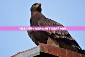 今日重大通报哈狗游开挂神器下载确实真的有挂