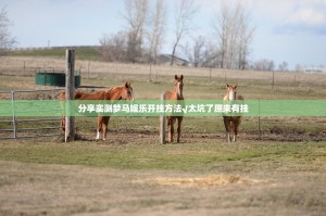 分享实测梦马娱乐开挂方法√太坑了原来有挂