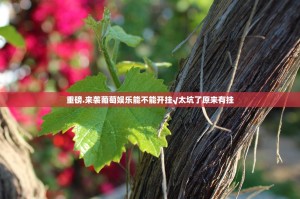 重磅.来袭葡萄娱乐能不能开挂√太坑了原来有挂