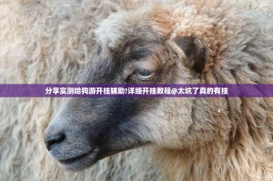重磅.来袭飞驰娱乐到底有没有透视挂原来真可以开挂