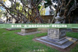 分享实测“哈局十三张究竟有挂吗”原来可以开挂