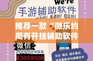 推荐一款家乡大贰怎么装挂(确实有挂)