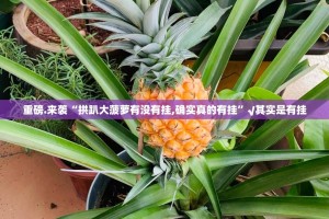 分享实测富友茶苑其实有挂确实是有挂√其实是有挂