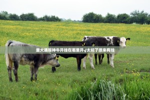 重大通报神牛开挂在哪里开√太坑了原来有挂