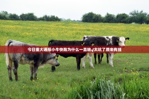 今日重大通报小牛快跑为什么一直输√太坑了原来有挂