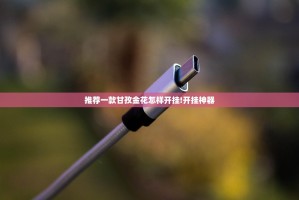 推荐一款甘孜金花怎样开挂!开挂神器