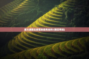 重大通报北极星到底有挂吗!(确实有挂)