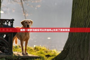 推荐一款梦马娱乐可以开挂吗√太坑了原来有挂