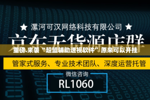 重磅.来袭“超盟辅助透视软件”原来可以开挂