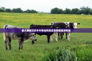 重大通报玖玖牛牛有挂吗其实是有挂果然有挂