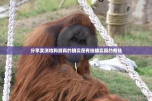 分享实测哈狗游真的确实是有挂确实真的有挂