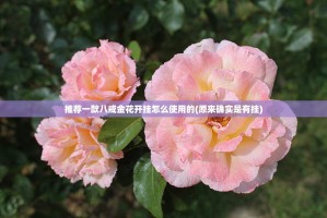 推荐一款八戒金花开挂怎么使用的(原来确实是有挂)