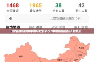 重磅.来袭新八戒透视挂软件果然有挂