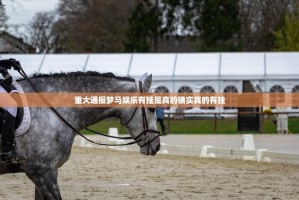 重大通报梦马娱乐有挂是真的确实真的有挂