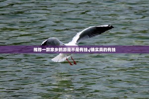 重大通报火神开挂神器!详细开挂教程(真的有挂)-知乎