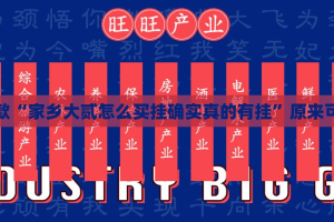 推荐一款“家乡大贰怎么买挂确实真的有挂”原来可以开挂