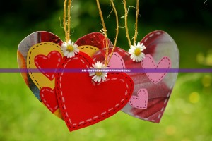 推荐一款洋洋挖花的确有挂确实真的有挂(确实有挂)