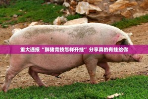 重大通报“胖猪竞技怎样开挂”分享真的有挂给你