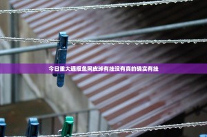 今日重大通报鱼网皮球有挂没有真的确实有挂