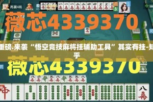 重磅.来袭鄂州晃晃到底有没有挂装!其实是有挂(其实真的能开挂)