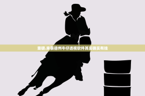 重磅.来袭德州牛仔透视软件其实确实有挂