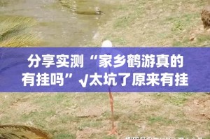 重磅.来袭快乐打筒子原来确实可以开挂(确实有挂)
