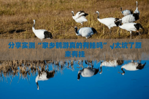 分享实测“家乡鹤游真的有挂吗”√太坑了原来有挂