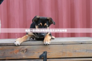 推荐一款哈狗游有挂稳赢方法开挂神器