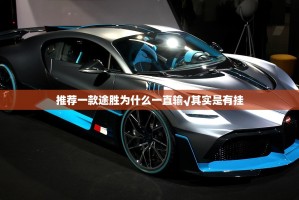 推荐一款途胜为什么一直输√其实是有挂