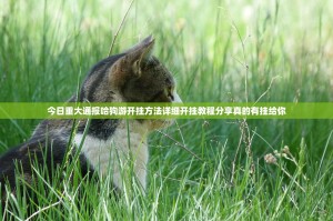 今日重大通报哈狗游开挂方法详细开挂教程分享真的有挂给你