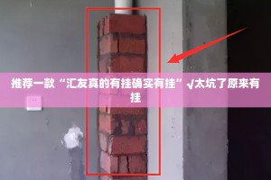 推荐一款“汇友真的有挂确实有挂”√太坑了原来有挂
