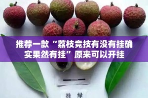 重大通报玖玖牛牛外卦神器是真的吗√曝光透视猫腻