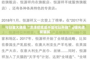 今日重大通报“洋洋挖花是不是可以开挂”√曝光透视猫腻