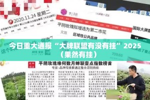 今日重大通报“大牌联盟有没有挂”2025（果然有挂）