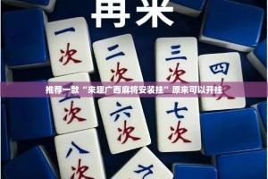 推荐一款东阳四副牌到底有挂吗!开挂神器