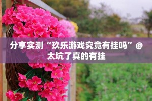 重磅.来袭欢聚斗地主到底有挂吗原来可以开挂