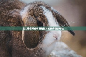 重大通报呗兔有没有挂其实真的确实有挂