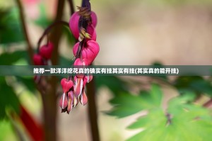 重大通报新西游透视辅助挂(其实真的能开挂)