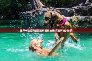 推荐一款哈狗游到底有没有挂吗(真的有挂)-知乎