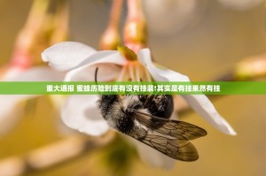 重大通报 蜜蜂历险到底有没有挂装!其实是有挂果然有挂