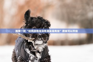 重大通报“顺欣茶楼怎么开的挂”(原来确实是有挂)