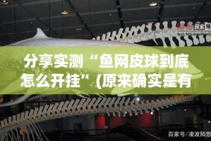 分享实测“鱼网皮球到底怎么开挂”(原来确实是有挂)