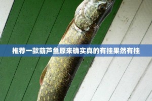 推荐一款葫芦鱼原来确实真的有挂果然有挂