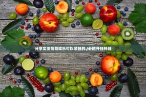 分享实测葡萄娱乐可以装挂的√必胜开挂神器