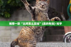 推荐一款“天海娱乐有挂吗”@太坑了真的有挂