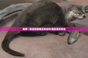推荐一款哈狗游确实有挂吗!确实真的有挂