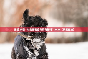 重磅.来袭“哈狗游到底有没有挂吗”2025（果然有挂）
