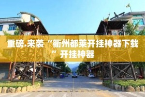 重磅.来袭“衢州都莱开挂神器下载”开挂神器