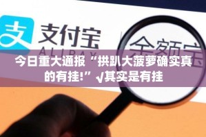 今日重大通报“拱趴大菠萝确实真的有挂!”√其实是有挂