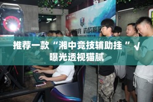 推荐一款“湘中竞技辅助挂 ”√曝光透视猫腻